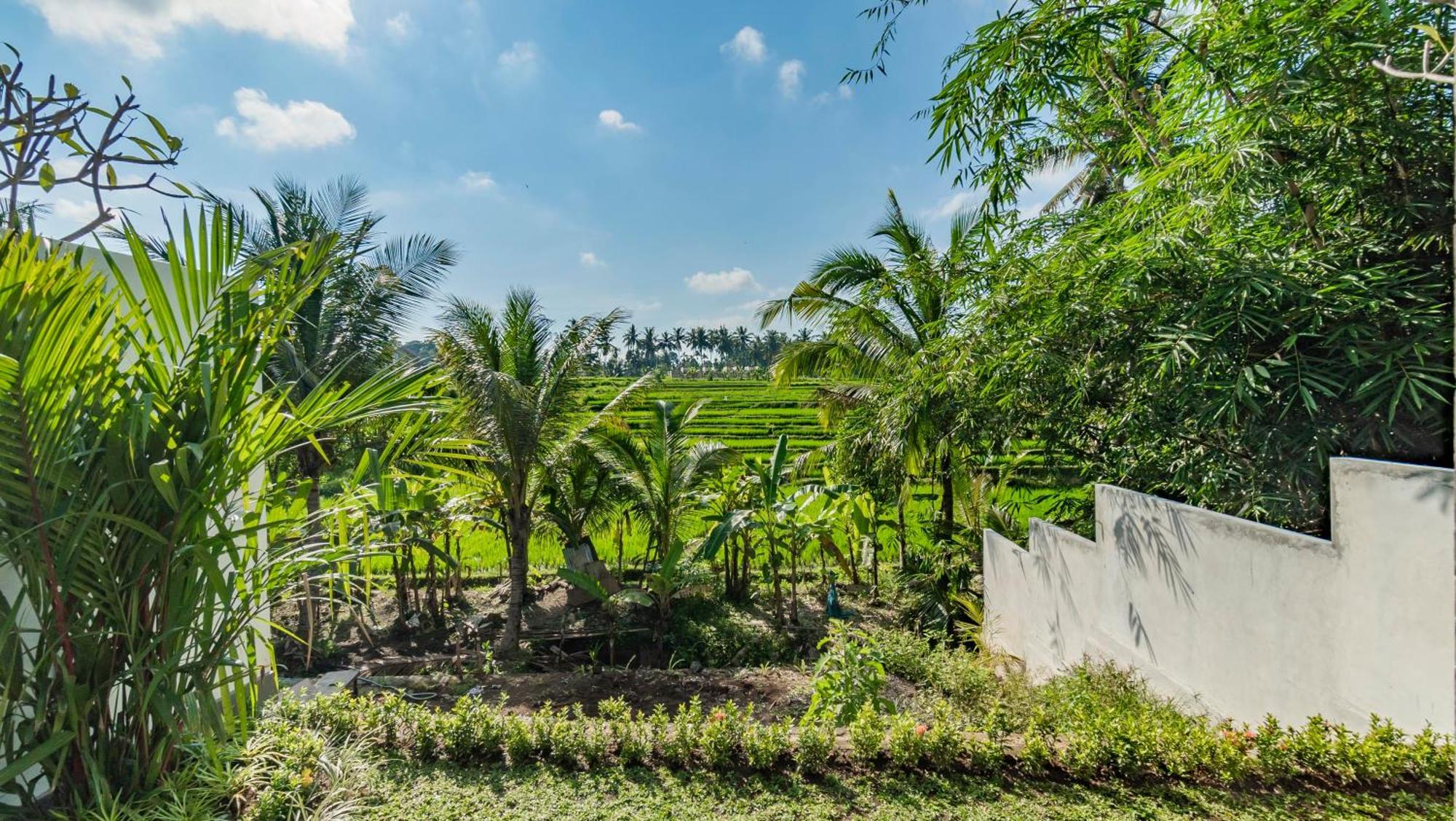 Padi Luwih Villa Ubud  Exterior photo