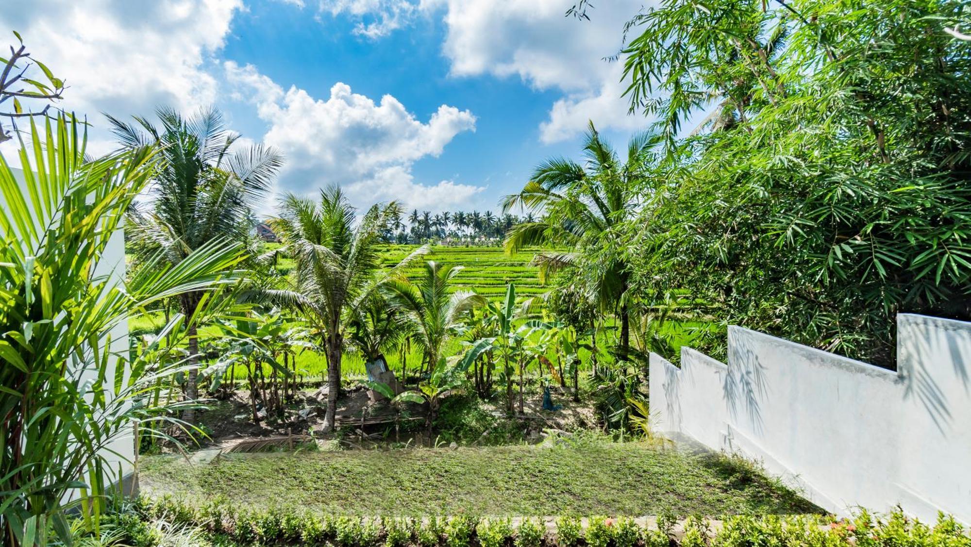 Padi Luwih Villa Ubud  Exterior photo